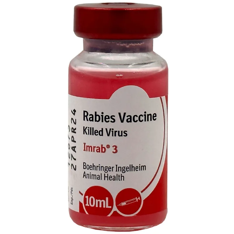 لقاح السعار